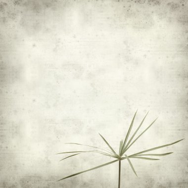 desenli eski kağıt arkaplan  