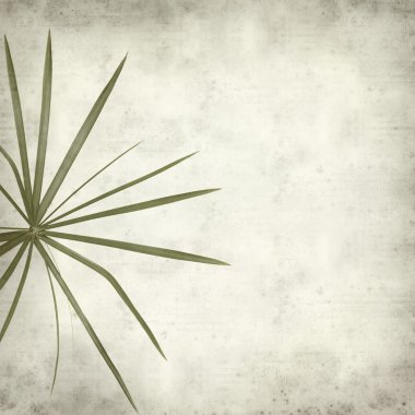 desenli eski kağıt arkaplan  