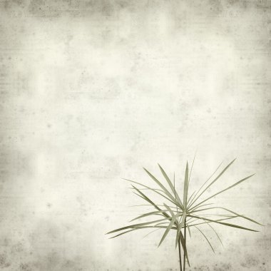 desenli eski kağıt arkaplan  