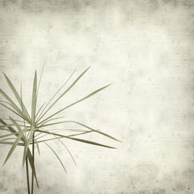 desenli eski kağıt arkaplan  