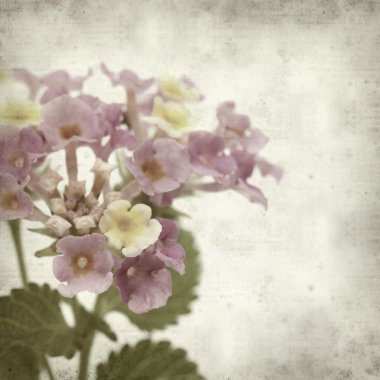 desenli eski kağıt arkaplan