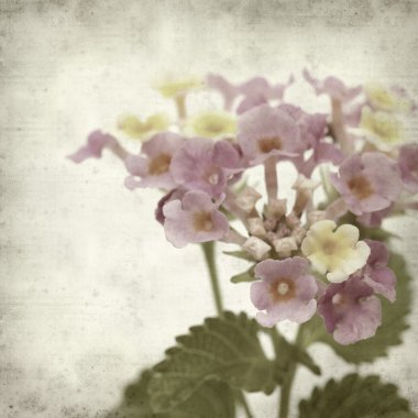 desenli eski kağıt arkaplan