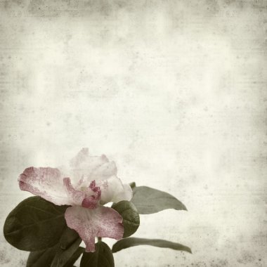 desenli eski kağıt arkaplan  