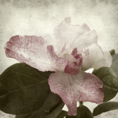 desenli eski kağıt arkaplan  