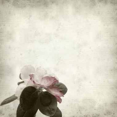 desenli eski kağıt arkaplan  