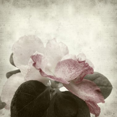 desenli eski kağıt arkaplan  