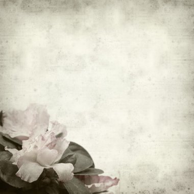 desenli eski kağıt arkaplan  