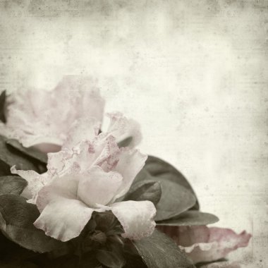 desenli eski kağıt arkaplan  