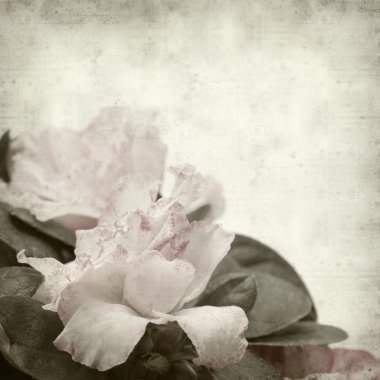 desenli eski kağıt arkaplan  