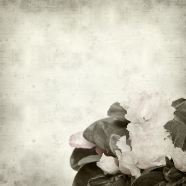 desenli eski kağıt arkaplan  