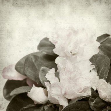 desenli eski kağıt arkaplan  