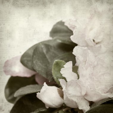 desenli eski kağıt arkaplan  