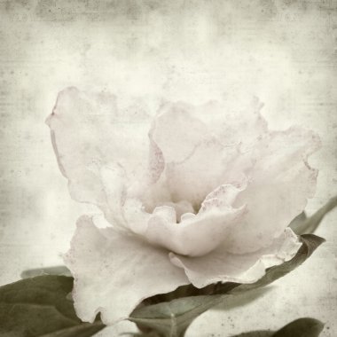 desenli eski kağıt arkaplan  