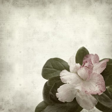 desenli eski kağıt arkaplan  