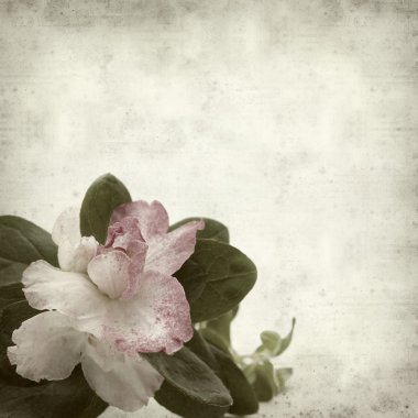 desenli eski kağıt arkaplan  