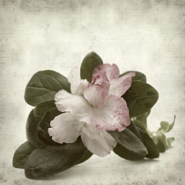 desenli eski kağıt arkaplan  