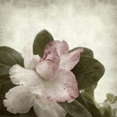 desenli eski kağıt arkaplan  