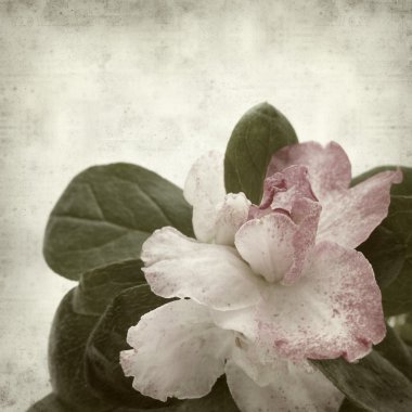 desenli eski kağıt arkaplan  