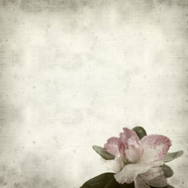 desenli eski kağıt arkaplan  