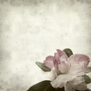 desenli eski kağıt arkaplan  