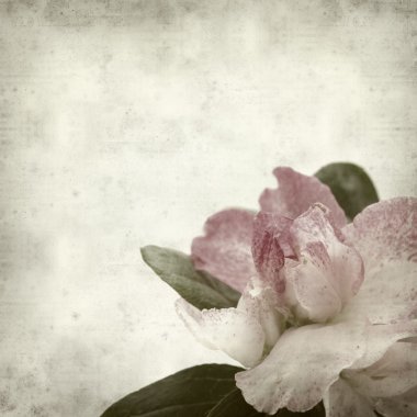 desenli eski kağıt arkaplan  