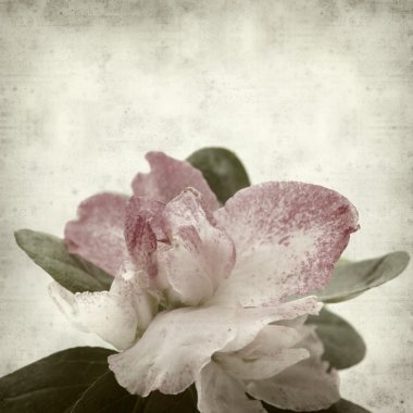 desenli eski kağıt arkaplan  