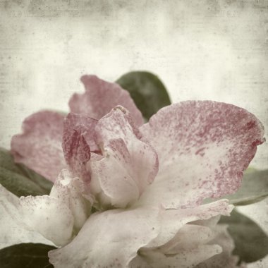 desenli eski kağıt arkaplan  