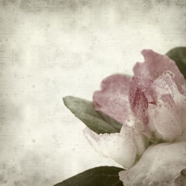 desenli eski kağıt arkaplan  