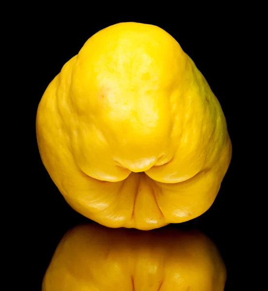 Yellow quince fruit isolated — Stock Photo, Image