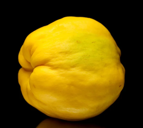 Gele kweepeer vruchten geïsoleerd — Stockfoto