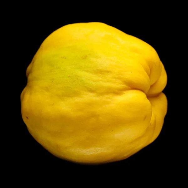 Yellow quince fruit isolated — Stock Photo, Image