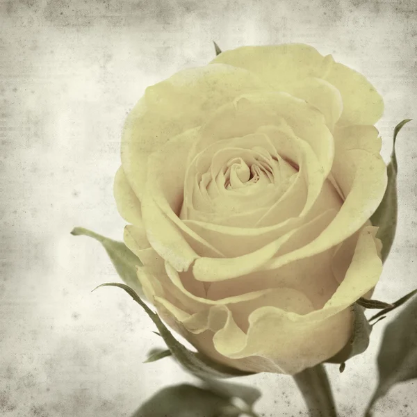 desenli eski kağıt arkaplan  