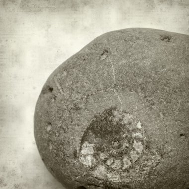 desenli eski kağıt arkaplan  