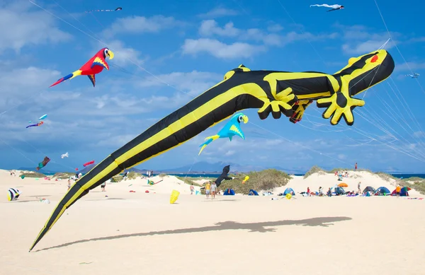 FUERTEVENTURA, ESPANHA - NOVEMBRO 08: Os espectadores assistem a partir do groun — Fotografia de Stock