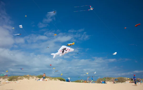 Fuerteventura, spanien - november 08: zuschauer schauen von der groun aus zu — Stockfoto