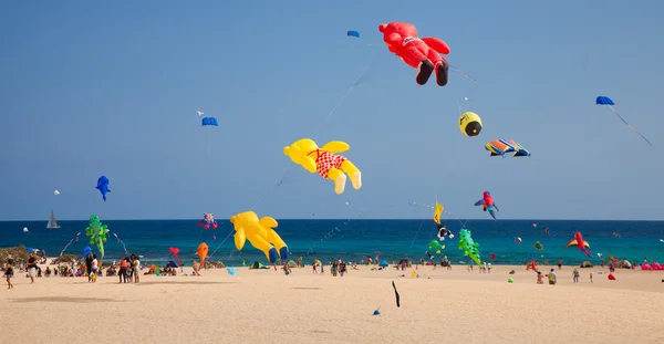 FUERTEVENTURA, SPAGNA - NOVEMBRE 08: Gli spettatori guardano dalla groun — Foto Stock