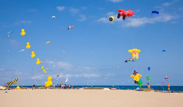 FUERTEVENTURA, SPAIN - NOVEMBER 08: Viewers watch from the groun — Stock Photo, Image