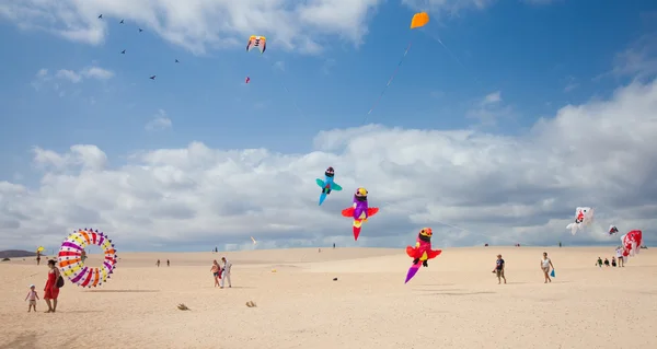 FUERTEVENTURA, ESPANHA - NOVEMBRO 08: Os espectadores assistem a partir do groun — Fotografia de Stock