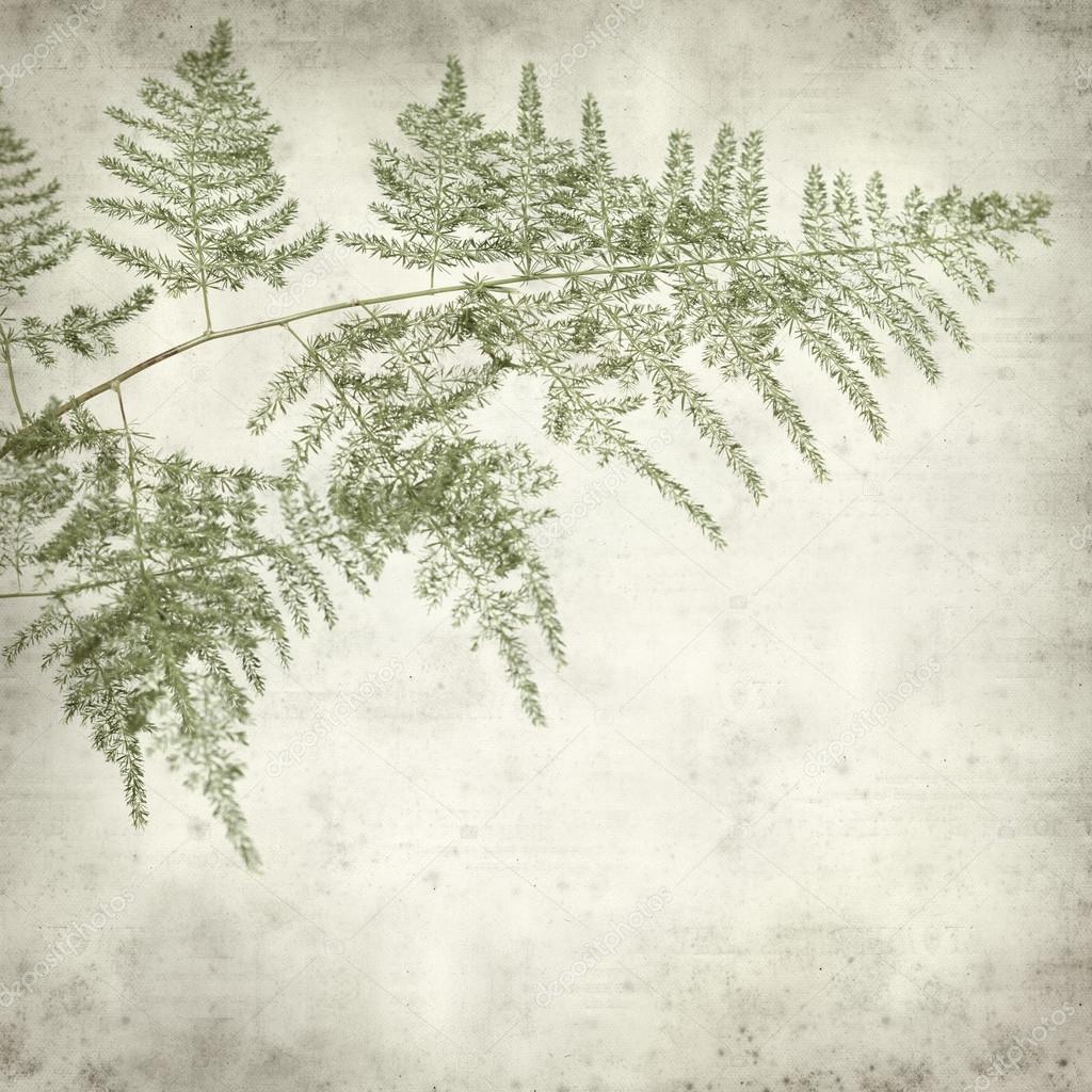 textured old paper background  