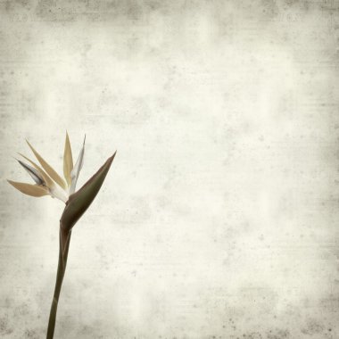 desenli eski kağıt arkaplan  