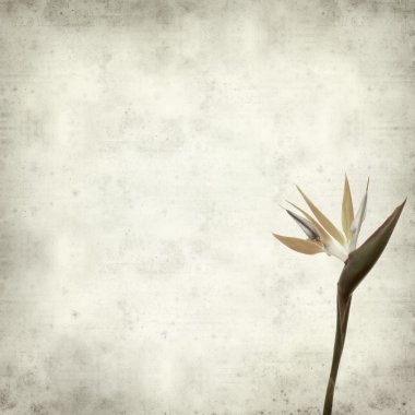 desenli eski kağıt arkaplan  