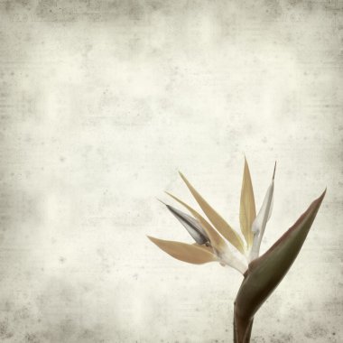 desenli eski kağıt arkaplan  