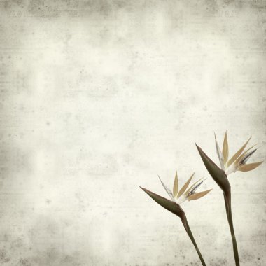 desenli eski kağıt arkaplan  