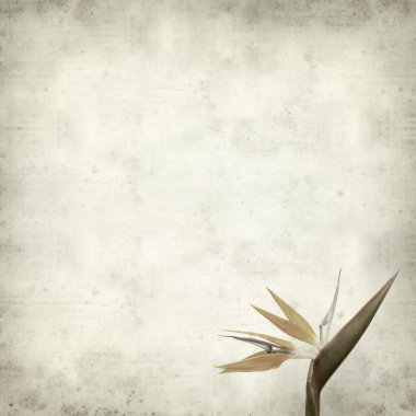 desenli eski kağıt arkaplan  