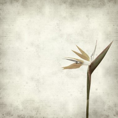 desenli eski kağıt arkaplan  