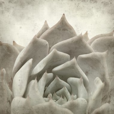 desenli eski kağıt arkaplan  