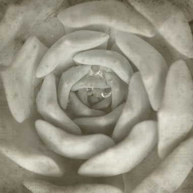 desenli eski kağıt arkaplan  