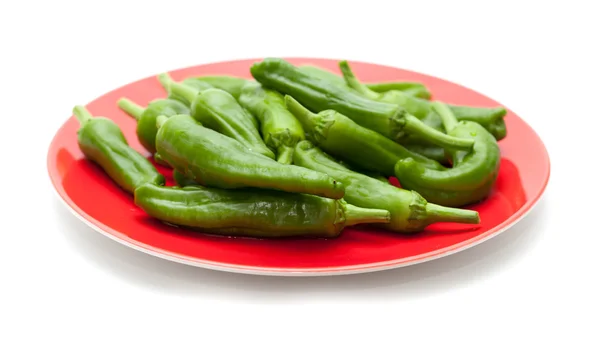 Padron peppers — Stock Photo, Image