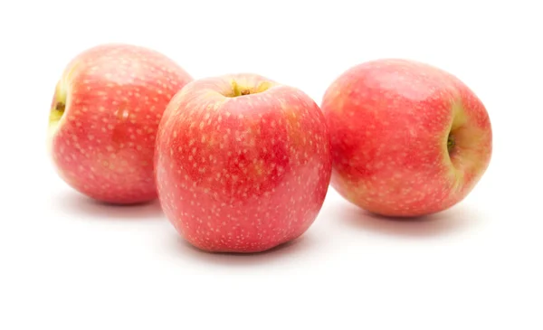 Pink apples isolated — Stock Photo, Image