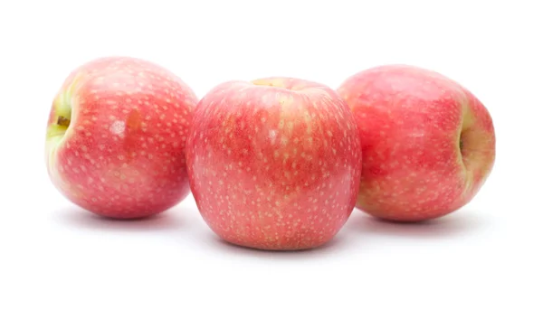 Pink apples isolated — Stock Photo, Image